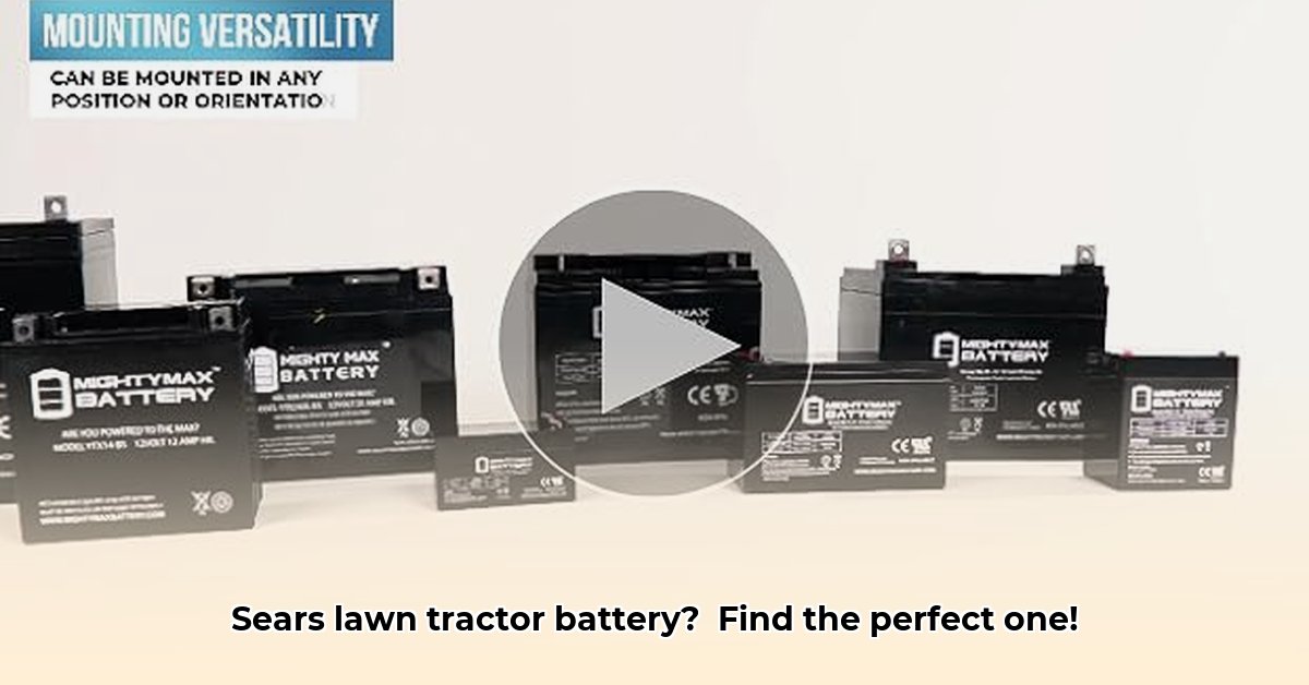 sears-lawn-tractor-battery